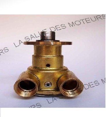 1 et 2. P35615 – Pompe a eau